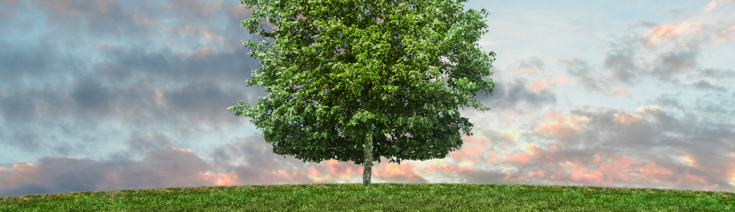ENVIRONNEMENT